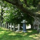 철비거북좌대 이미지