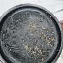 동서네낙지(김제점)