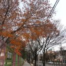 순진축산 | 농림축산식품부는 동물병원 후기광고 처벌하라