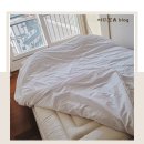 벌떡 수유점 | 본매트리스 사이즈 매트리스 비교해본 후기