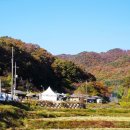 즘골마을 이미지