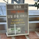 경주 펜션 알베센트 풀빌라 B동 캠핑존 객실 리얼 후기