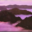 예당원 | 구미철학관 작명소 유명한 예당원 (실제 고객분 후기 발췌)
