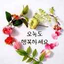 늘향기로운삶