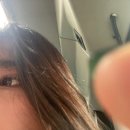 UR(대전광역시)-[월평동로]-하-10 | 대전 서울 대전 서울