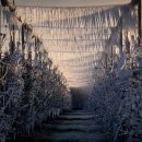 황새둥지 이미지