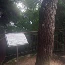 한양타워빌딩 이미지