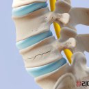 홍대입구리더스정형외과의원 이미지