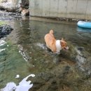 천태산 오토캠핑장 이미지