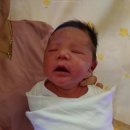 마미안여성병원 이미지