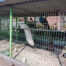 달목성주유소 이미지