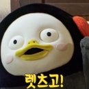 더메이 이미지