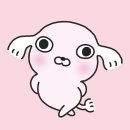 강사장