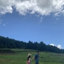 주연목장 | 제주 셀프웨딩스냅/ 여름 제주웨딩스냅 장소추천, 개오름, 제주 주연플라워 가성비부케추천, 후기 살짝쿵..