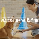 커몽그루밍 네이버블로그