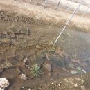 월학농장 이미지