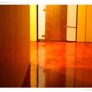 폭시모텔 이미지