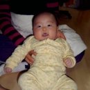 석진이네 이미지