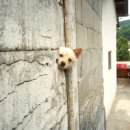 신사1-016 이미지