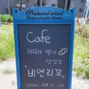 비엔리꼬 네이버블로그