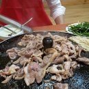 감골오리 이미지