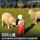 재님농장 | 상주 가볼만한곳 '파머스룸' 대구근교 아이랑 가기좋은 5천평 동물농장 대형카페