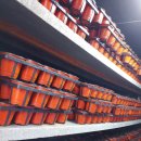 내기농장 이미지