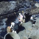 개울가에 빨래터 이미지