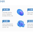 에이티젠-초대형 상승이 발생하는 진짜 이유. 이미지