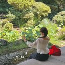 가미무역 | 마쓰야마 근교 우치코 가는법 산책패스 | 고쇼지 가미하가 저택