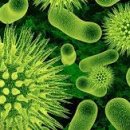 수비자연한의원 이미지