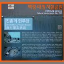중화동-092 티스토리