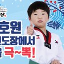 호원태권도장 이미지