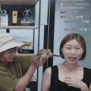 싱글벙글 슈카월드 라이브 대참사 근황 ㅋㅋㅋ.gif 이미지