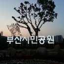 시민공원 남문 이미지