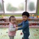 폰폰나라 Daum카페