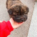 리아트파크청평원 이미지