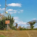 서호동-43 이미지