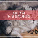 원통 복지타운 이미지