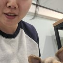 두젠틀 이미지