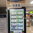 민원사 | [대구 서구청 혼인신고 후기] 수요일 야간 민원으로 퇴근 후 다녀왔어요! (준비물, 서식, 기념품)