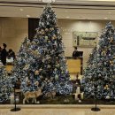 모아모아 이미지