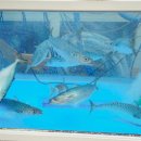 고,홍치과의원 이미지