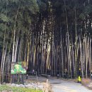 풍자농원 | 전남 순천 대숲골농원 풍자 또간집에 나온 순천만국가정원 근처 숯불닭구이 맛집 테이블링 예약