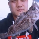 블루마린호 이미지