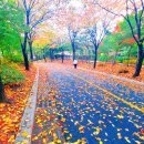 무학부동산 공인중개사사무소 이미지