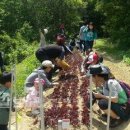 경상농장 이미지