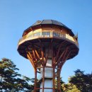 사세충열문공원화장실 | 원주 치악산 구룡사 은행나무 단풍 절정 주차 시간