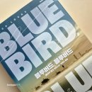 블루버드 이미지