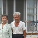 야촌농장 Daum카페